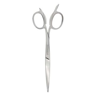 ciseaux de coiffeur expert