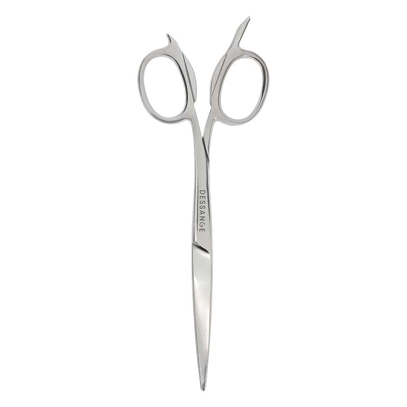 Ciseaux Expert Coiffeur En Acier Inoxydable