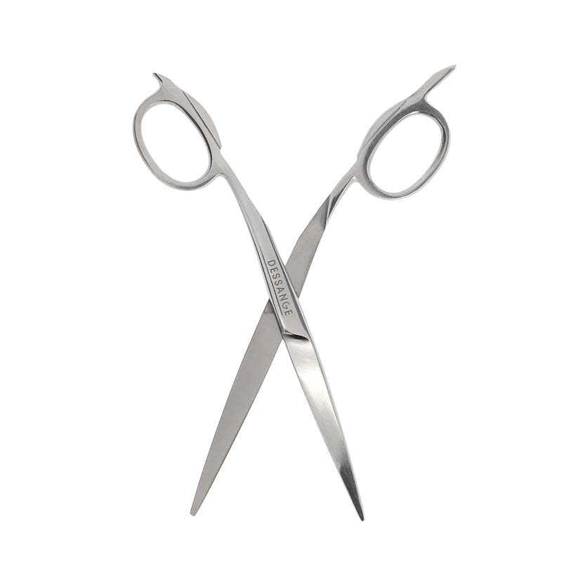 Ciseaux Expert Coiffeur En Acier Inoxydable