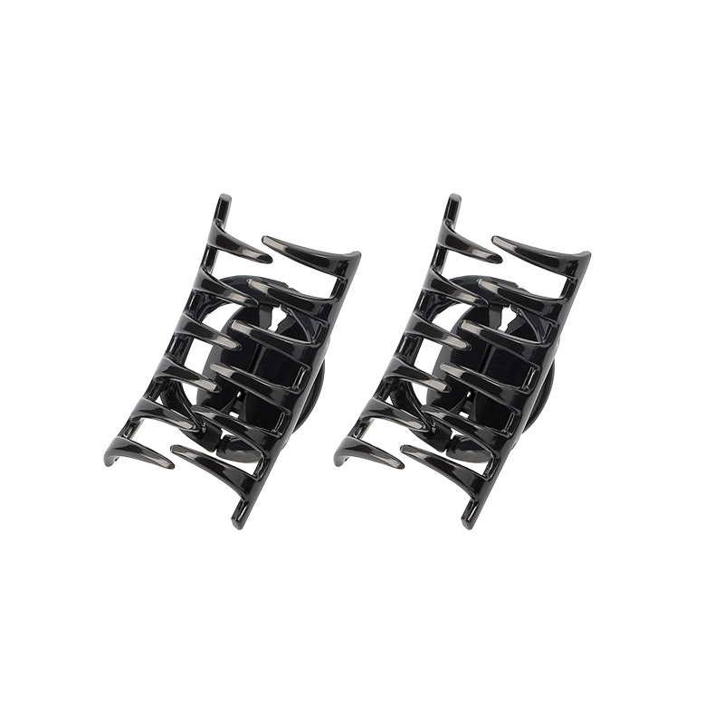 Petites Pinces à Cheveux Anti-glisse x2